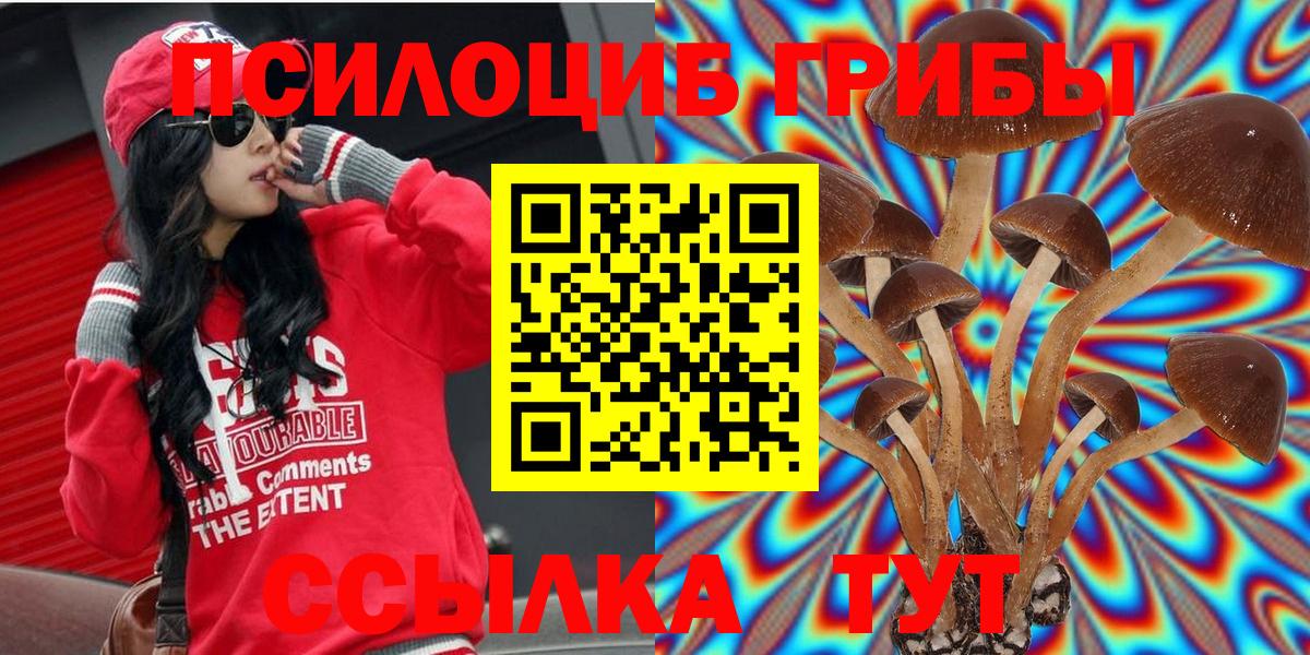 Галлюциногенные грибы Magic Shrooms  Вход с VPN  Вышний Волочёк 